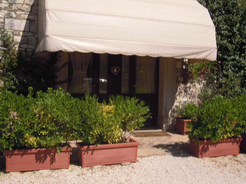 Il Turrione Apartment อัสซิซี ภายนอก รูปภาพ